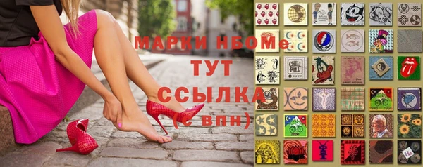 крисы Володарск