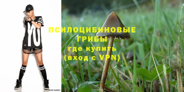 МДПВ Вязьма