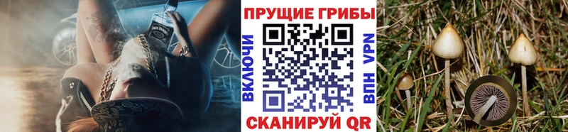 Псилоцибиновые грибы MAGIC MUSHROOMS  даркнет сайт  blacksprut зеркало  Калтан 